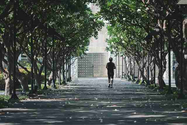 蘑菇视频电脑版站内栏目调整方案｜全屏模式兼容指南引导流程优化